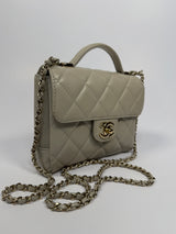 Chanel Seasonal Top Handle Flap Bag