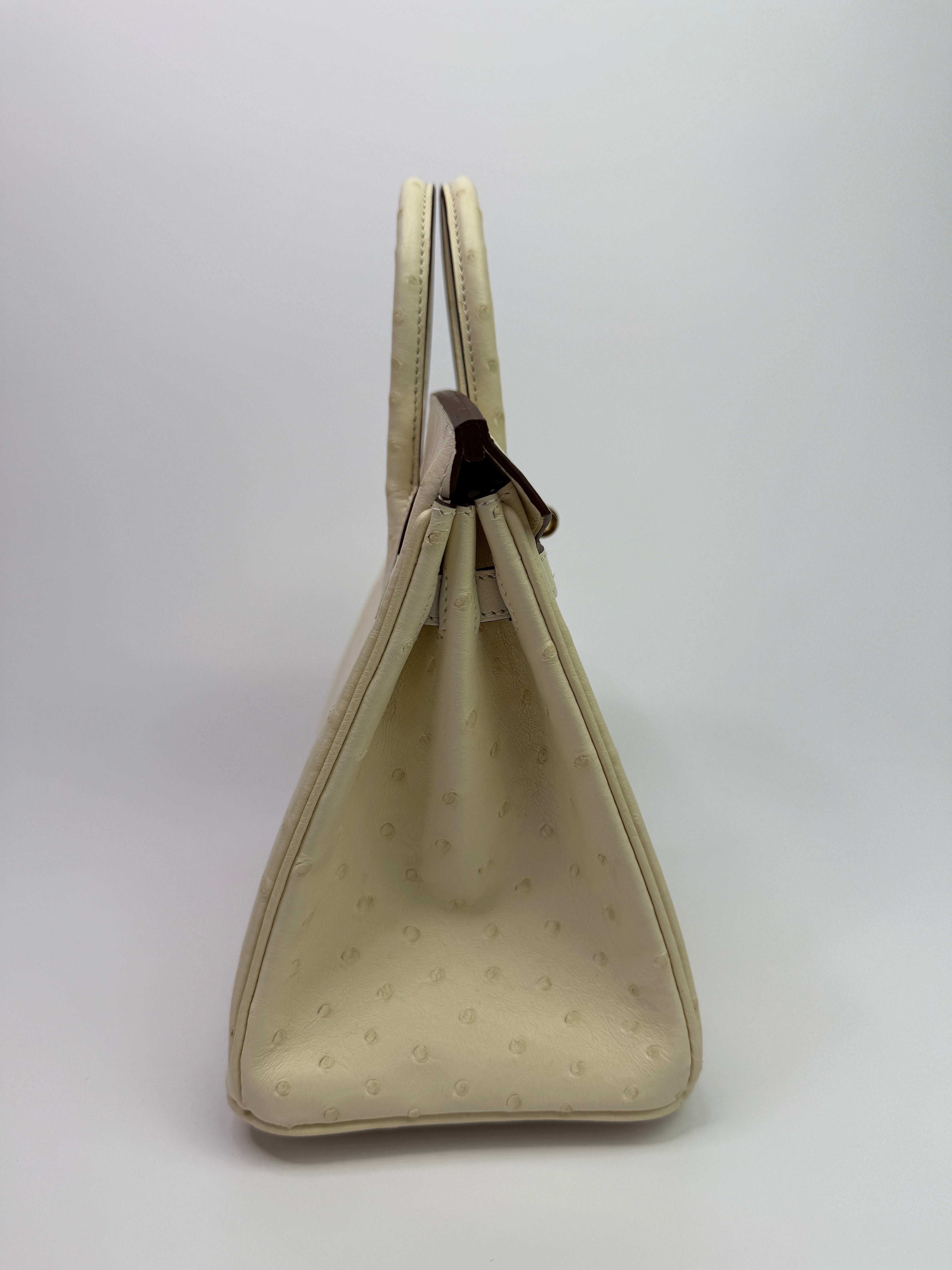 Hermès Birkin 25 In Nata Ostrich With Gold Hardware