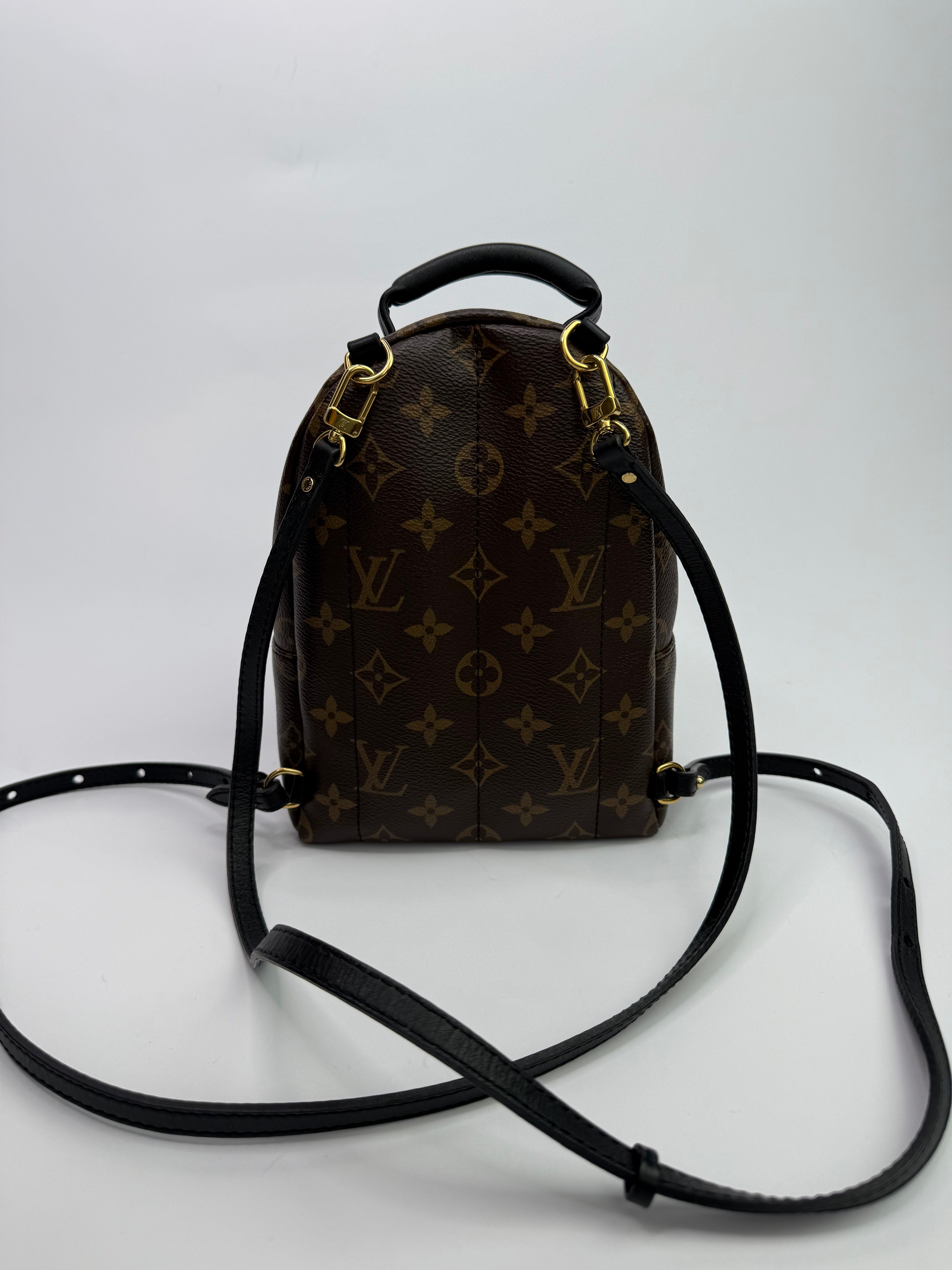 Louis Vuitton Palm Springs Mini Backpack
