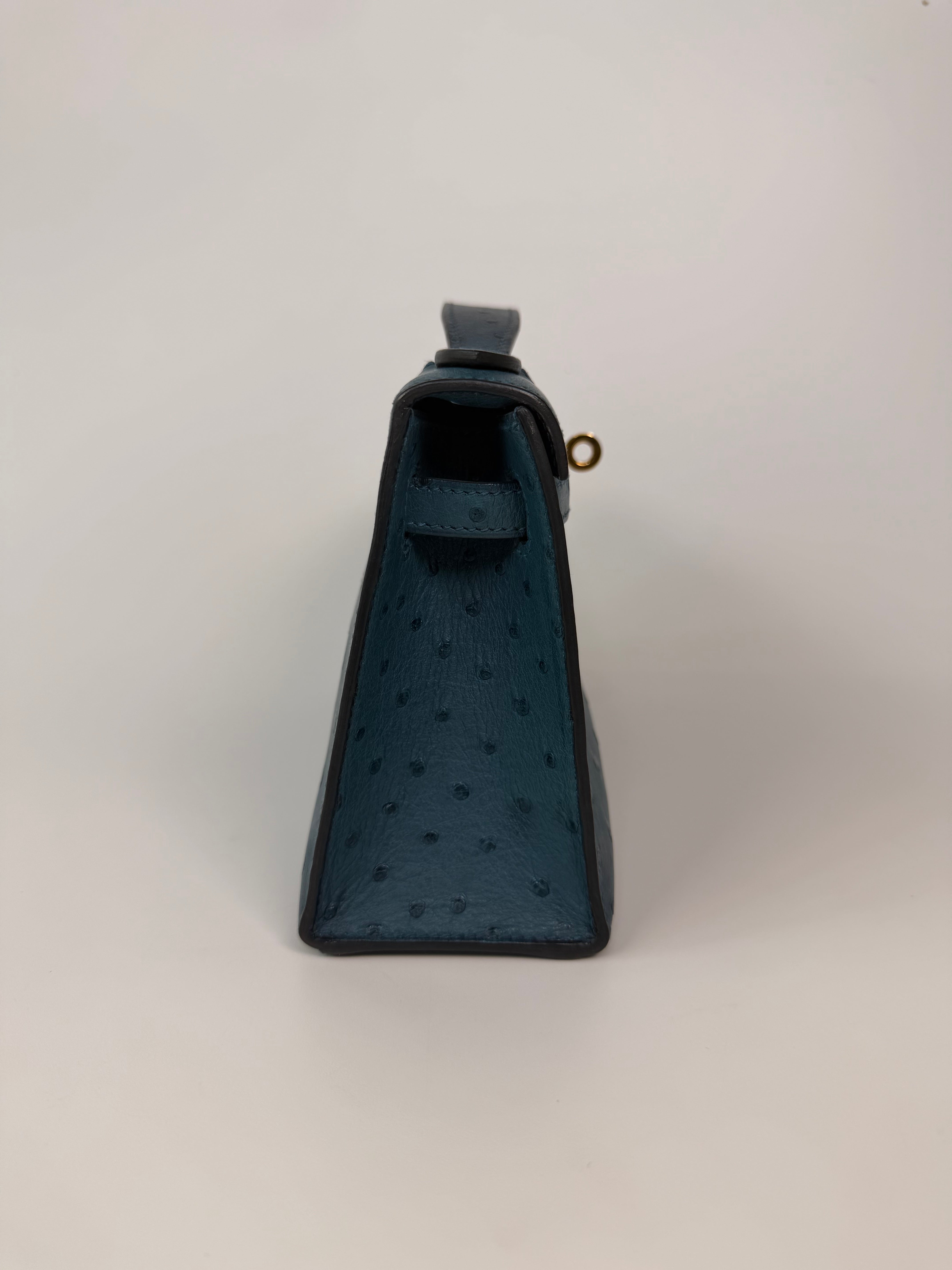 Hermés Kelly Pochette In Colvert Ostrich With Gold Hardware