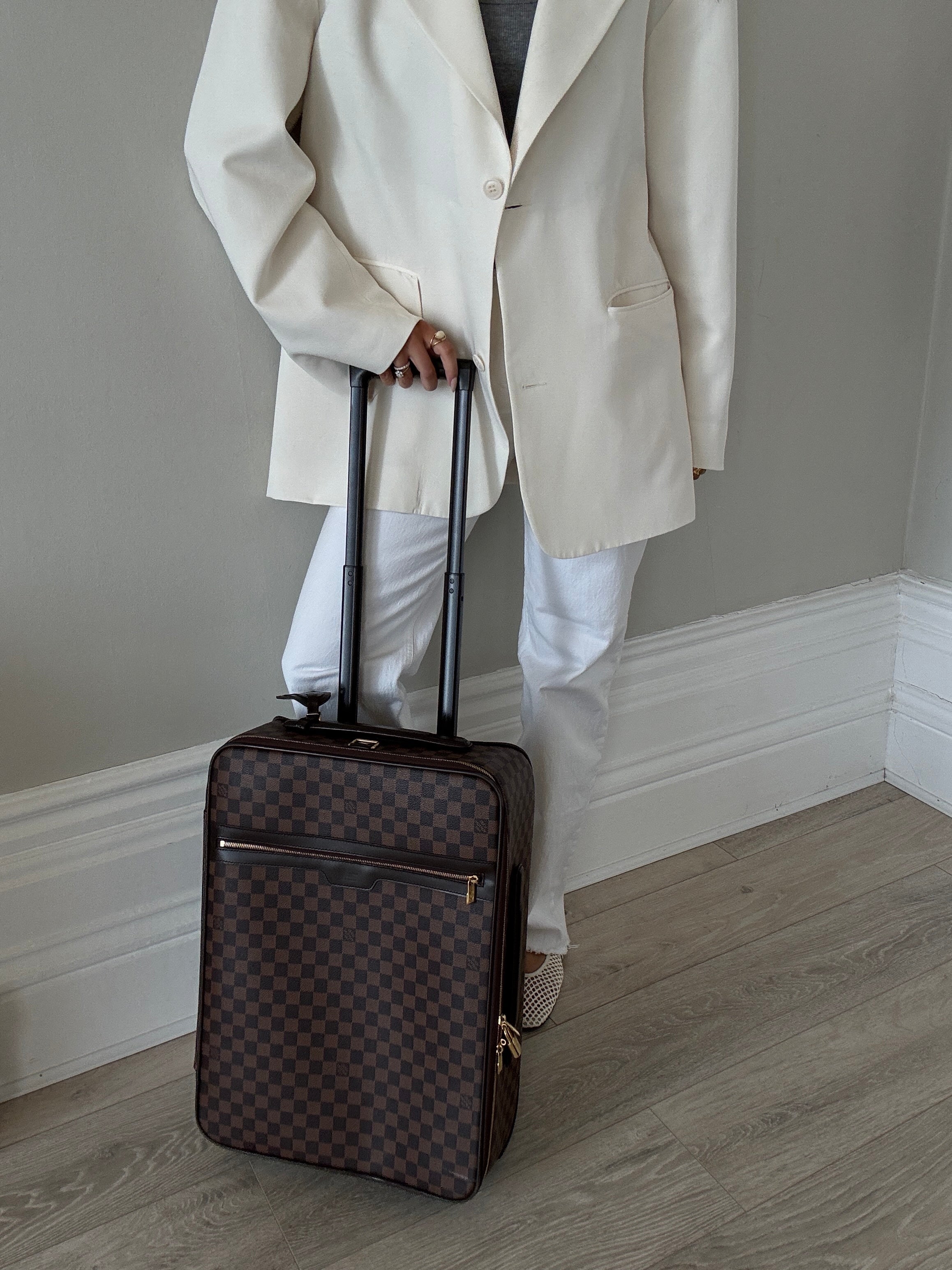 Louis Vuitton Pégase Soft Travel Case