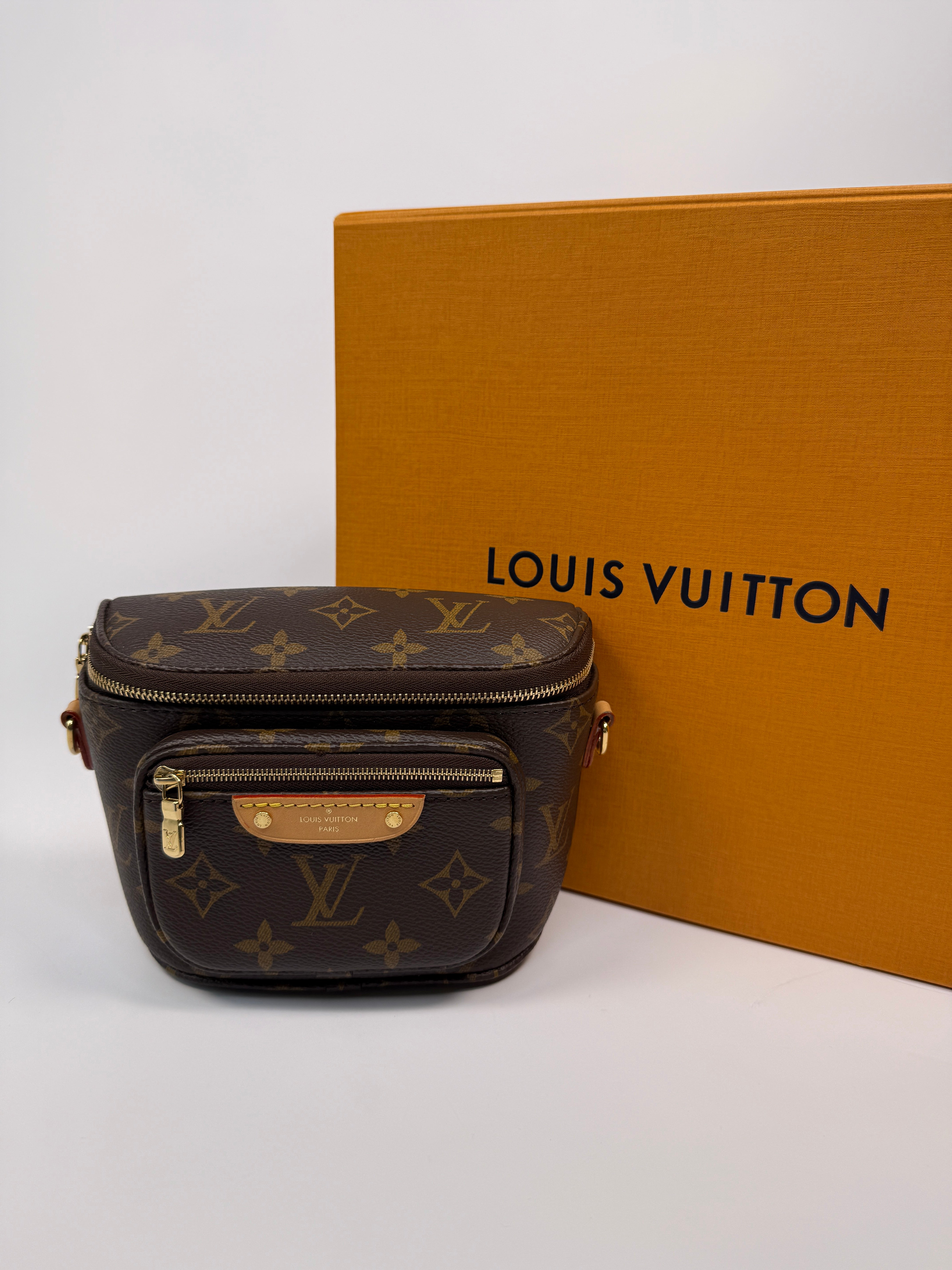 Louis Vuitton Mini Bumbag