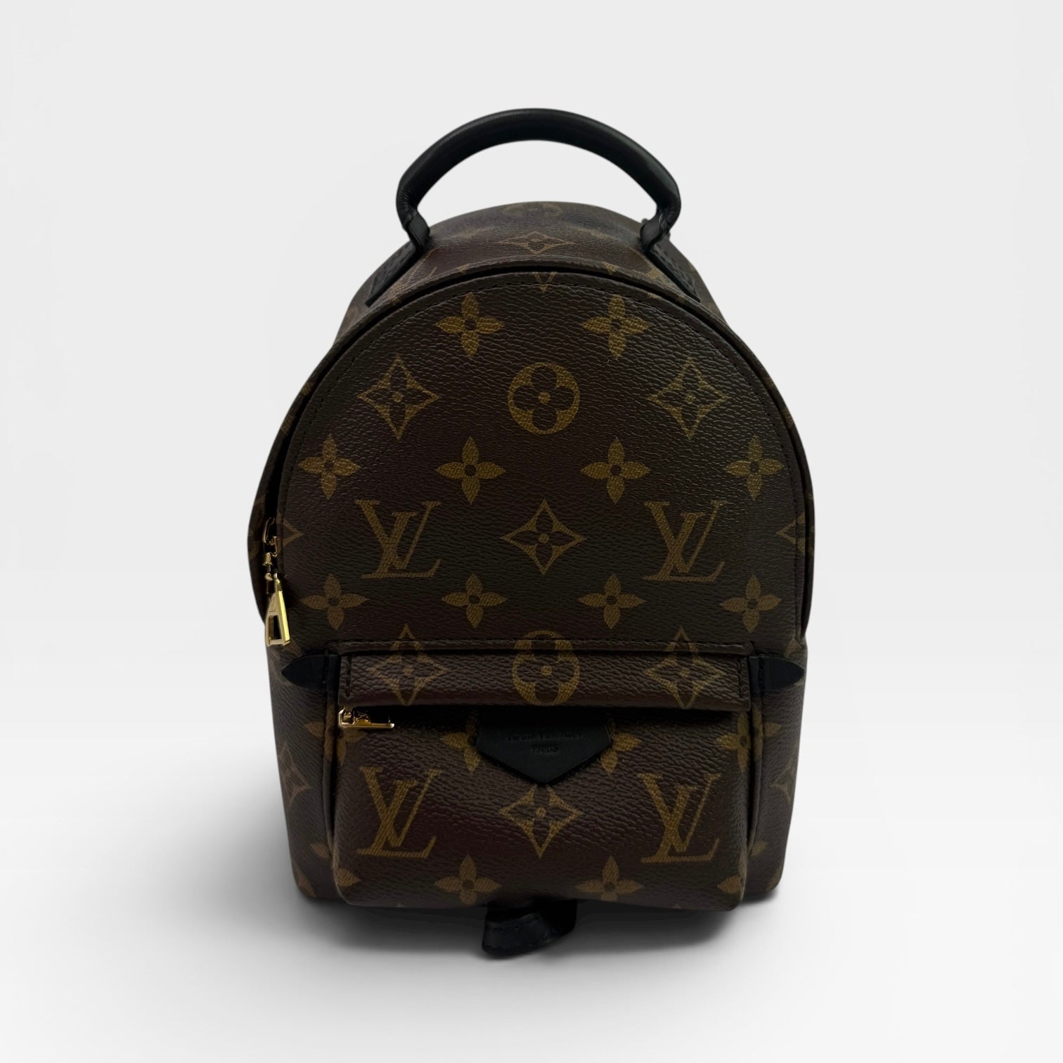 Louis Vuitton Palm Springs Mini Backpack