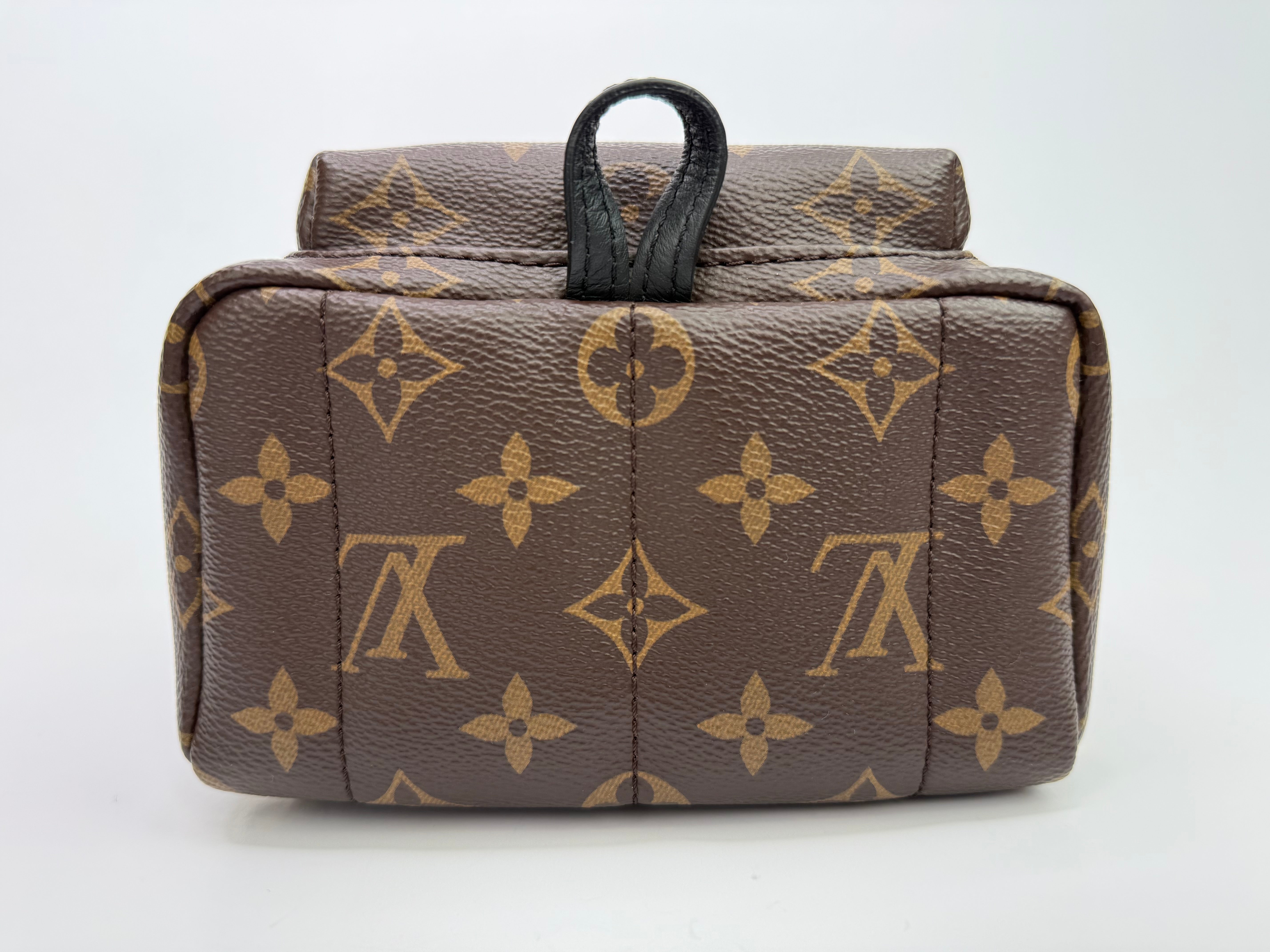 Louis Vuitton Palm Springs Mini Backpack