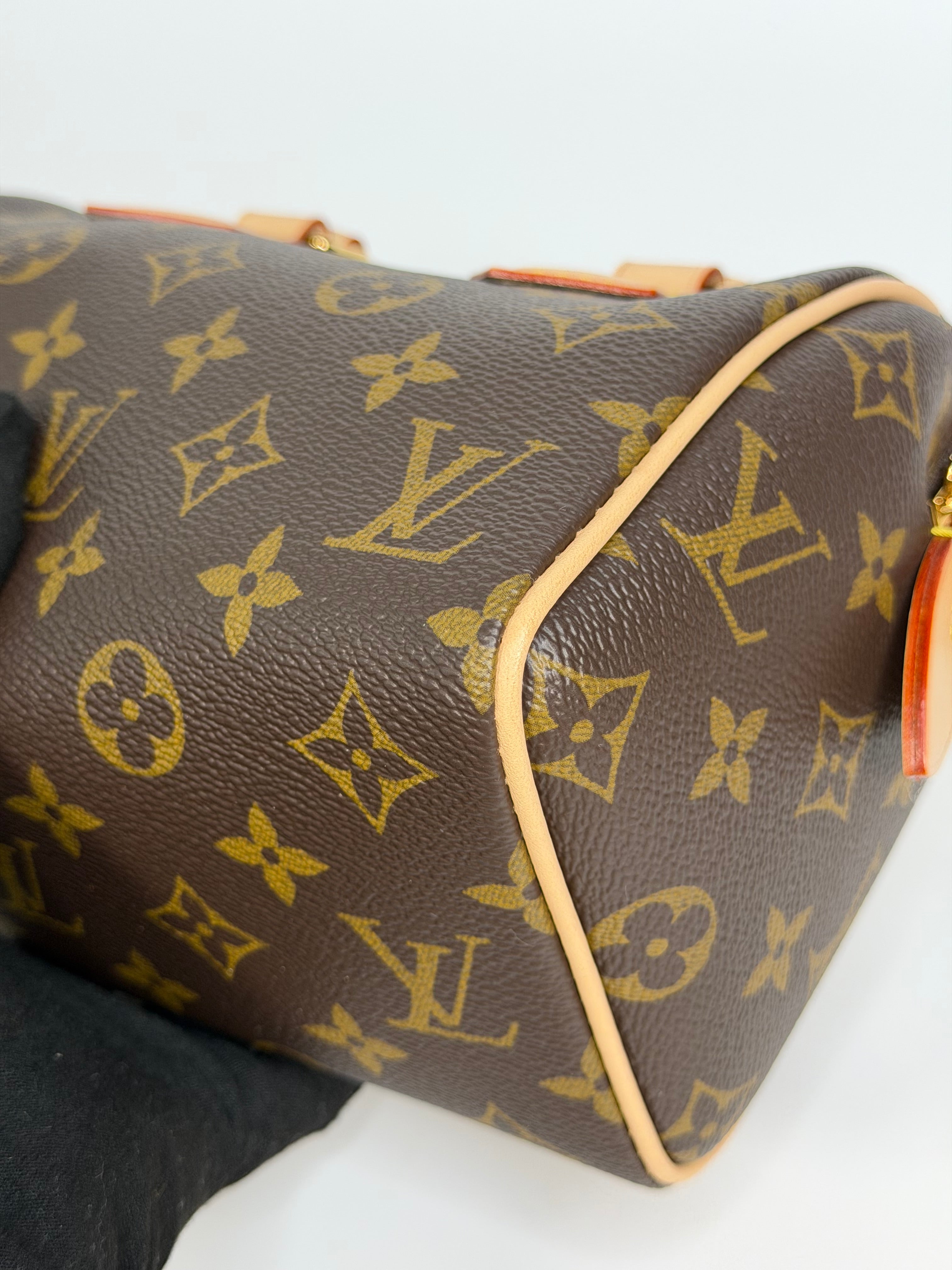 Louis Vuitton Speedy 20 In Monogram Canvas With Gold Hardware. Authentic and preloved in excellent condition.