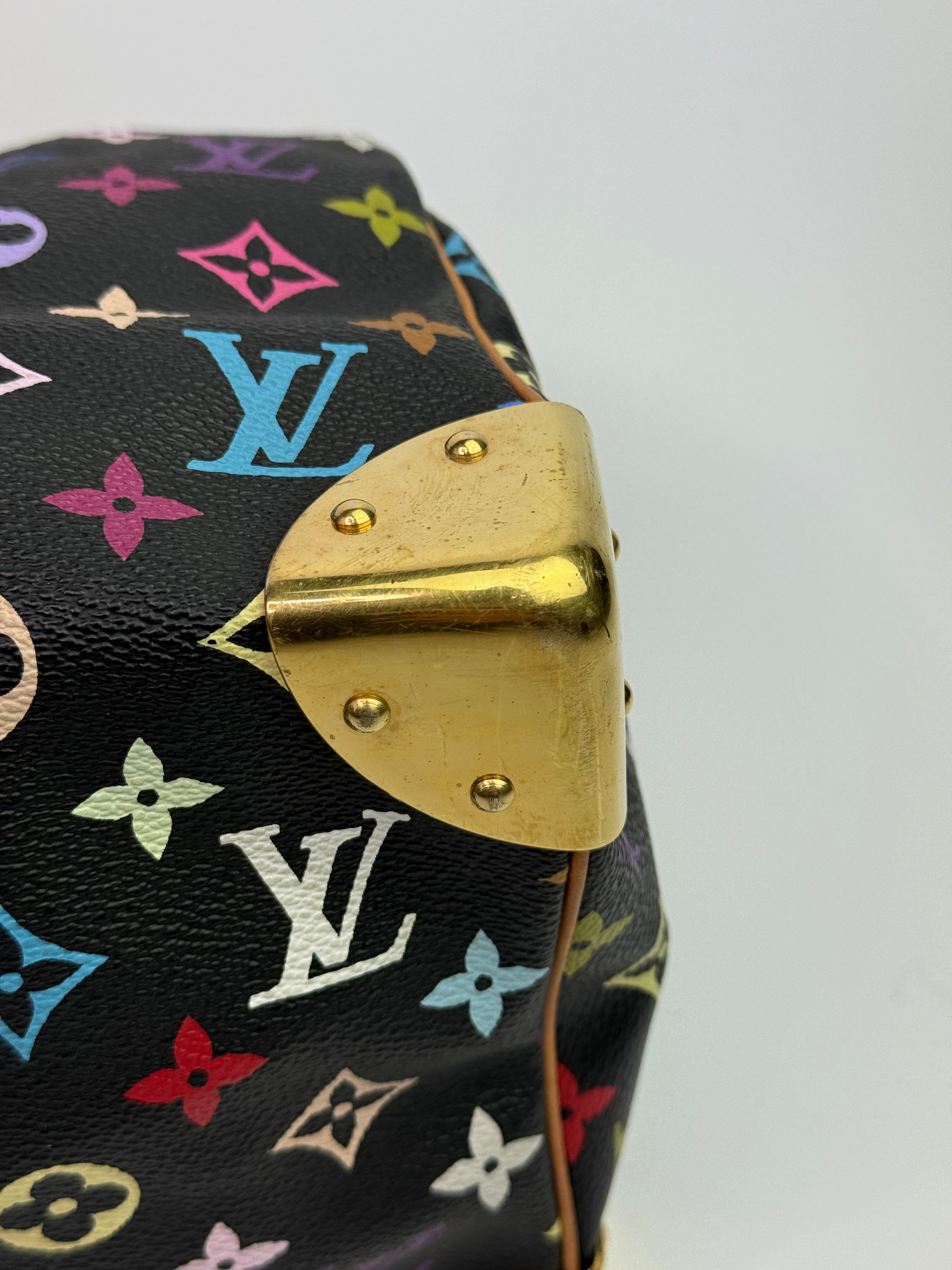 Louis Vuitton Takashi Murakami Speedy 30