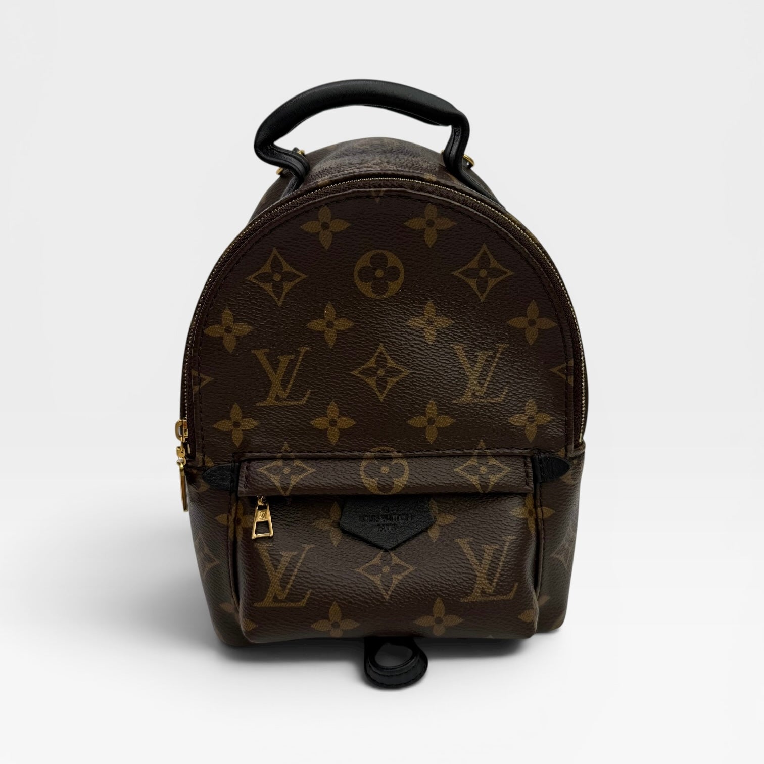 Louis Vuitton Palm Springs Mini Backpack