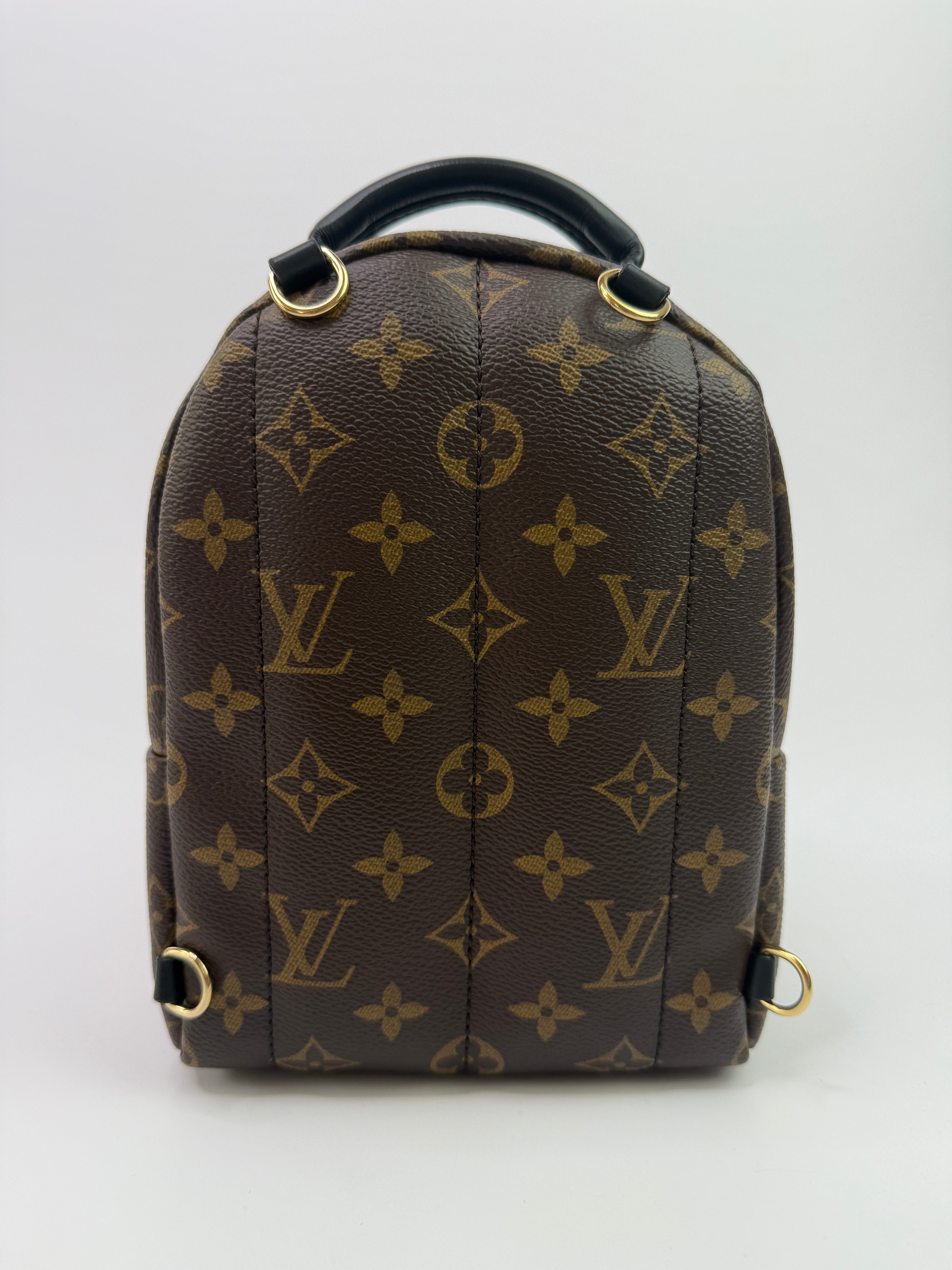 Louis Vuitton Palm Springs Mini Backpack