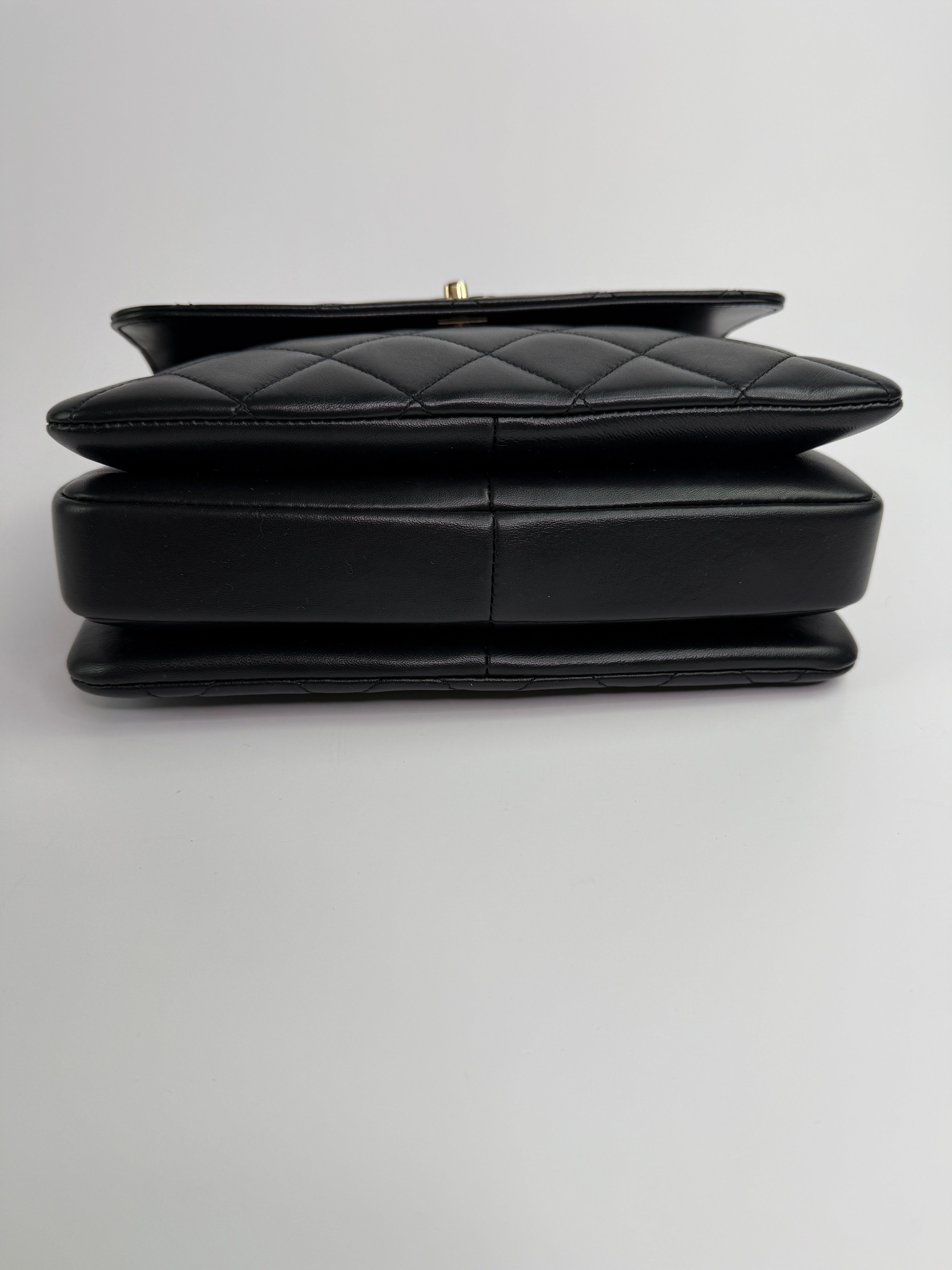 Chanel Small Trendy Top Handle Flap Bag