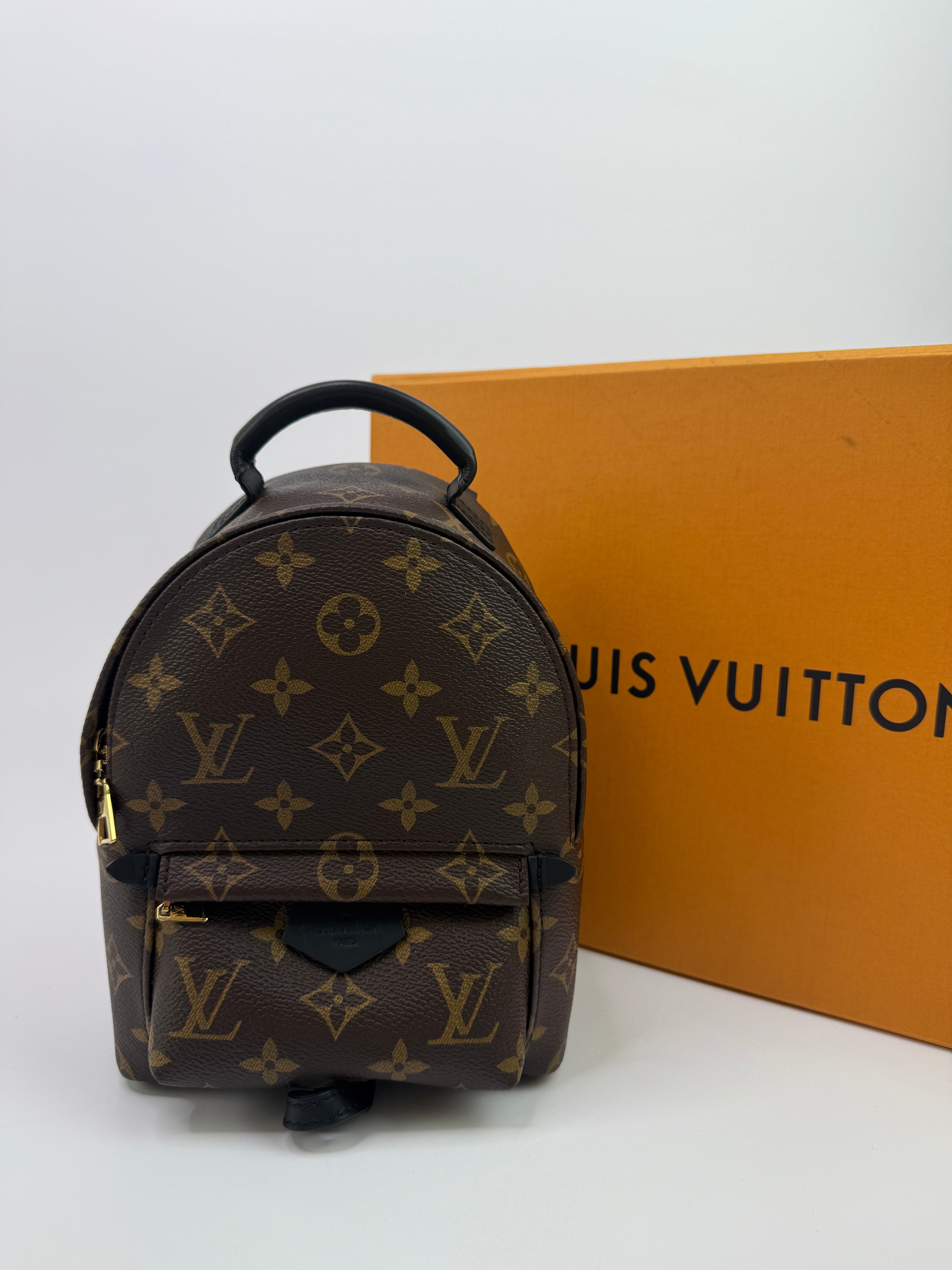 Louis Vuitton Palm Springs Mini Backpack