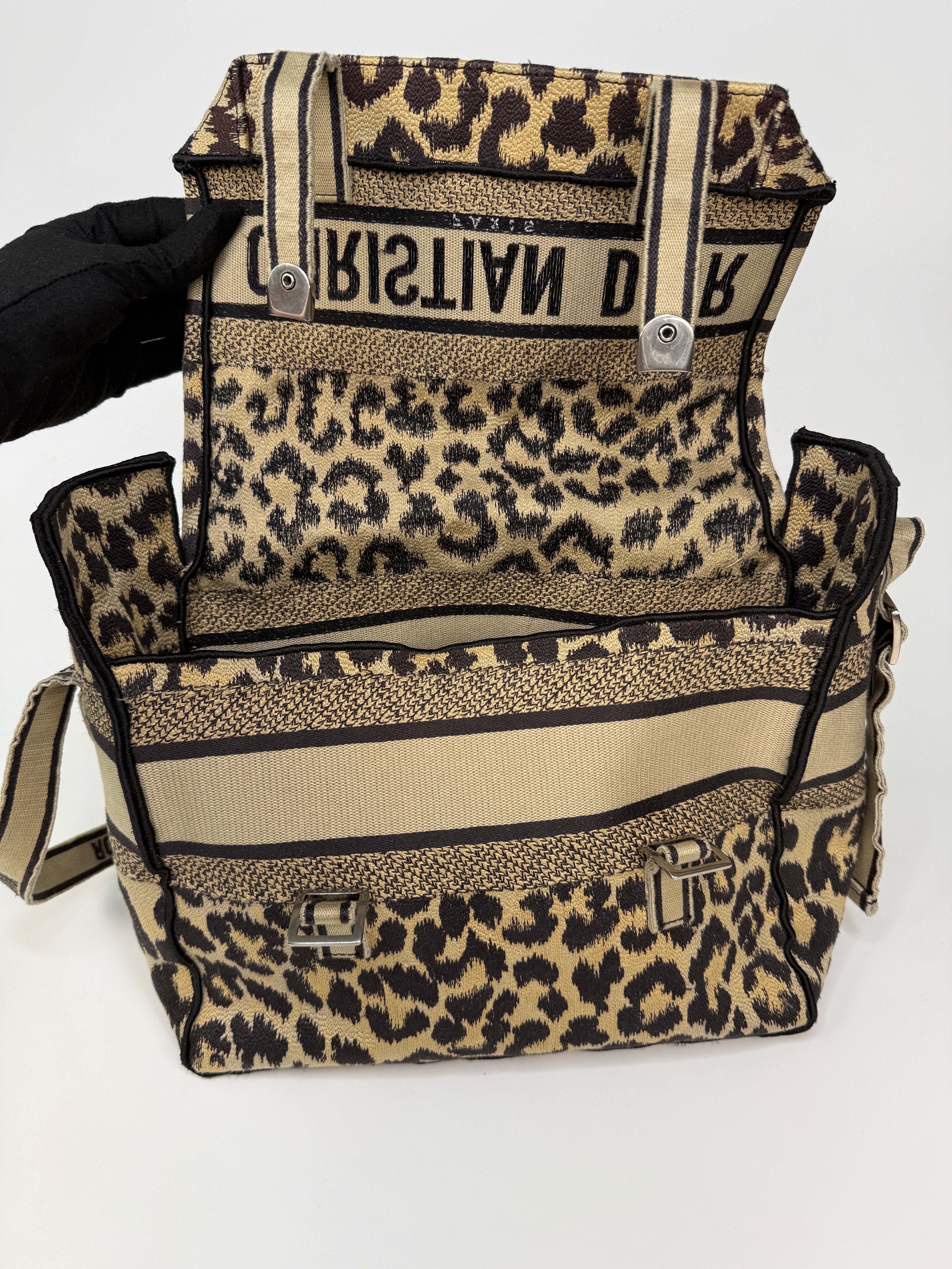 Christian Dior Camp Dior Bag In Leopard