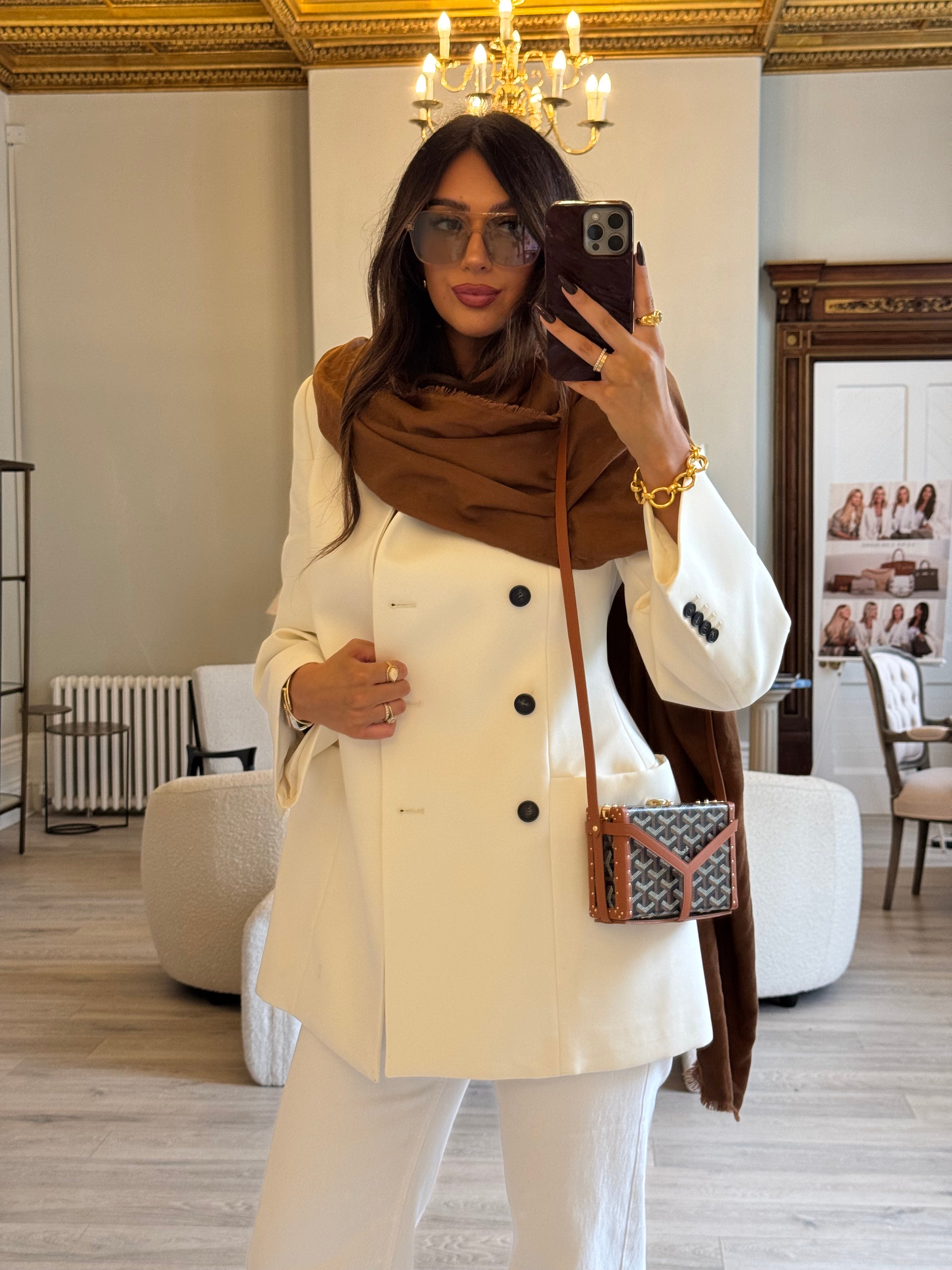 Goyard Minaudiere Trunk Shoulder Bag