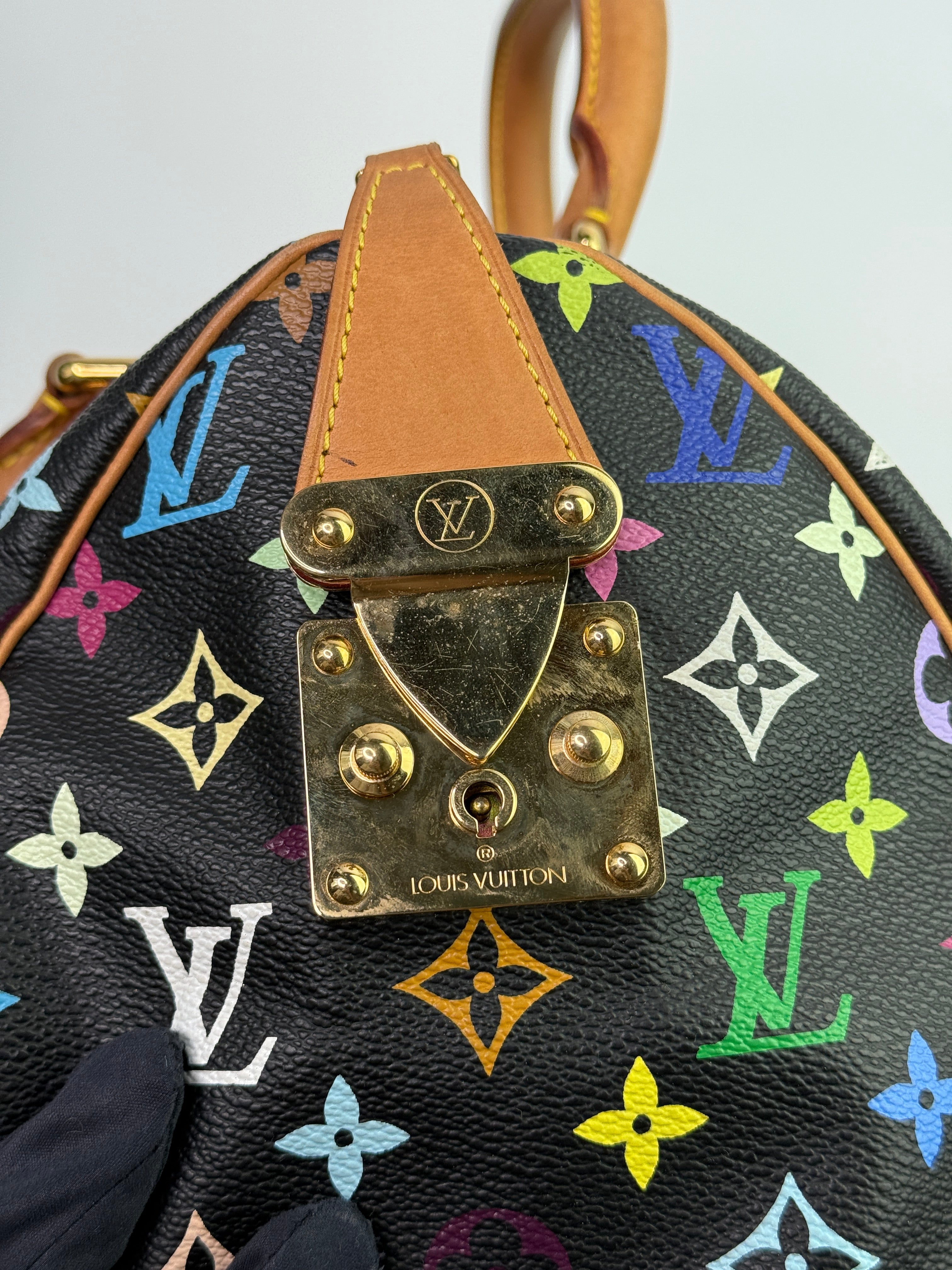 Louis Vuitton Takashi Murakami Speedy 30