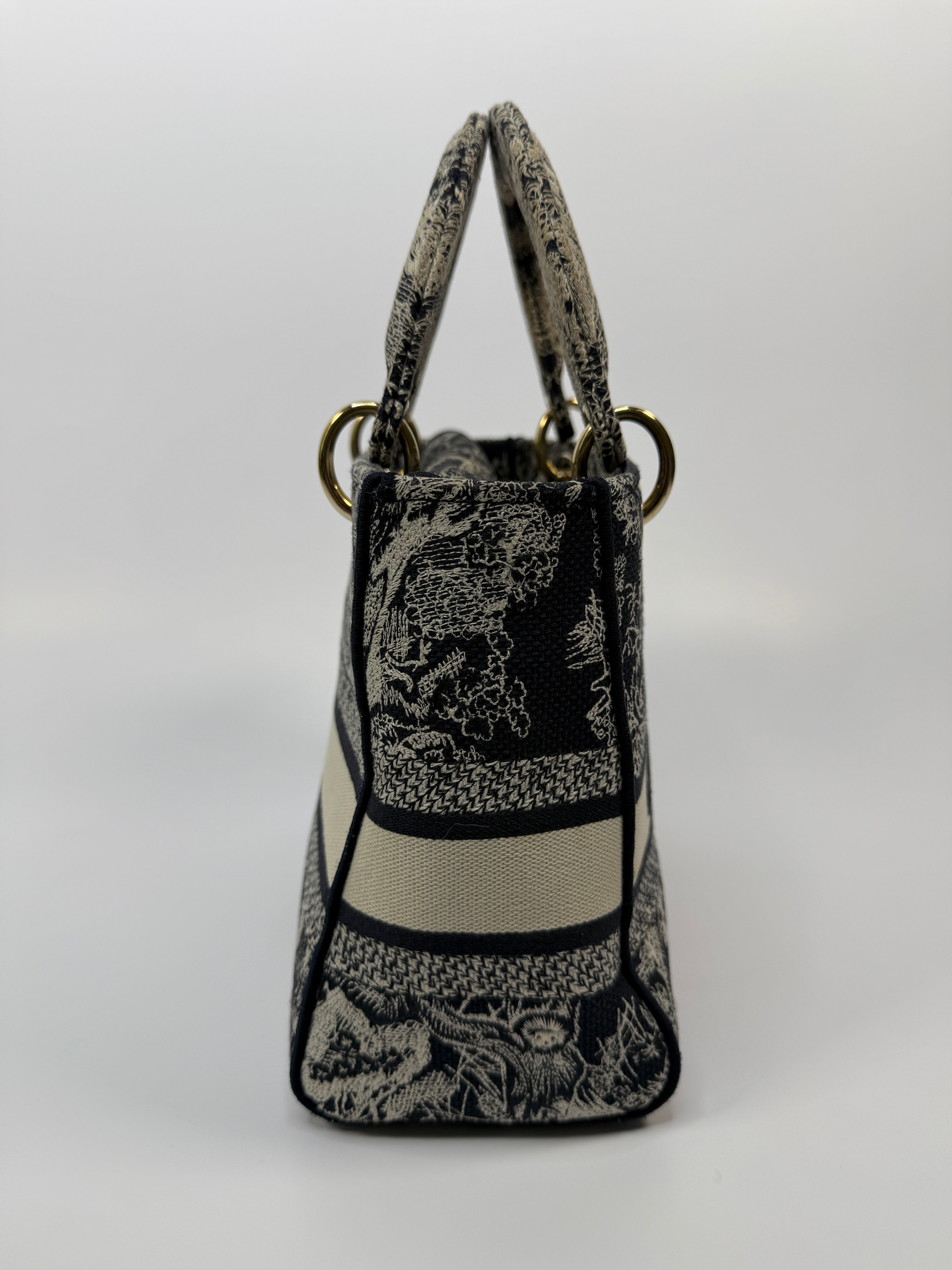 Christian Dior Medium Lady D-Lite bag