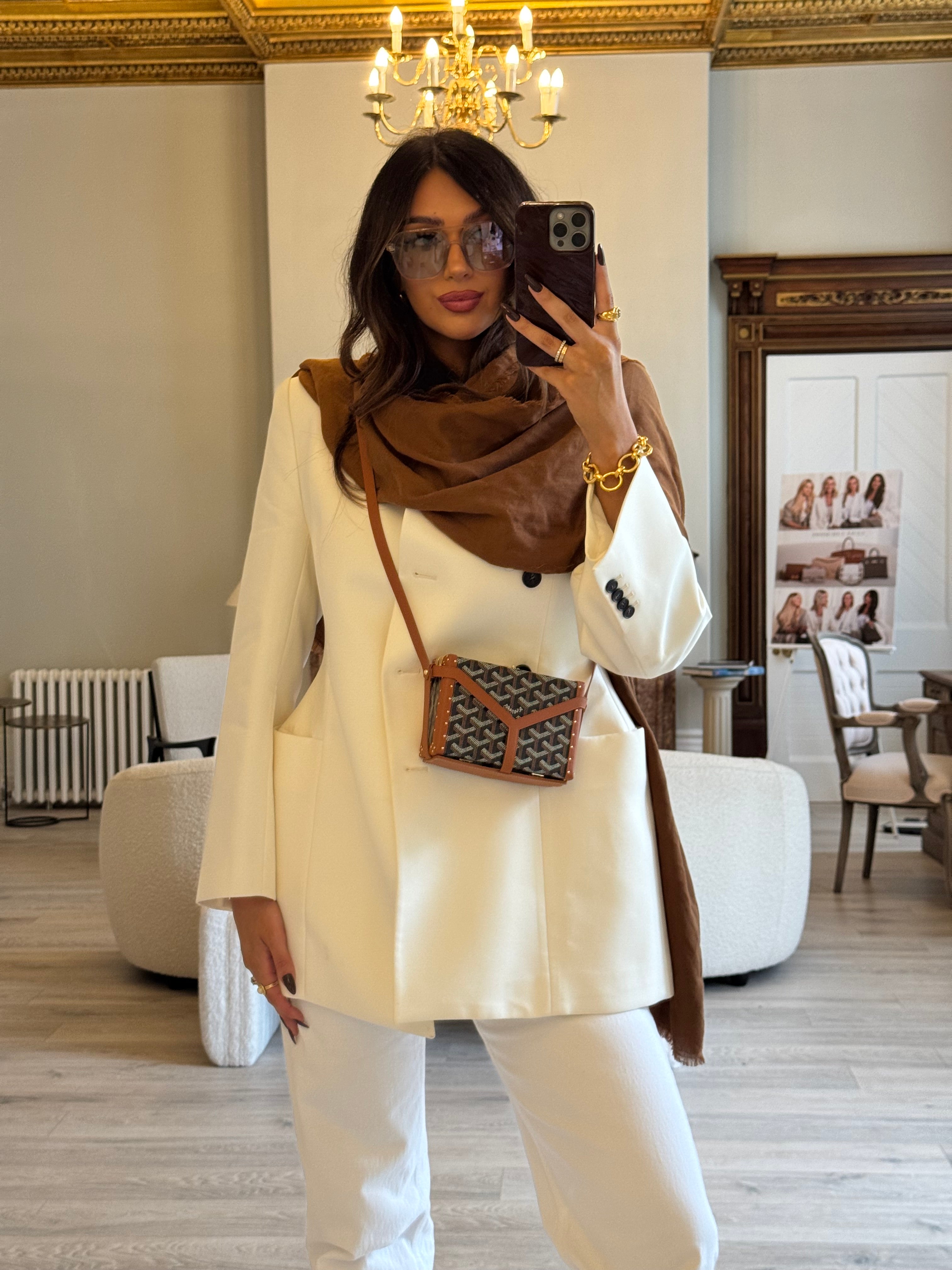 Goyard Minaudiere Trunk Shoulder Bag