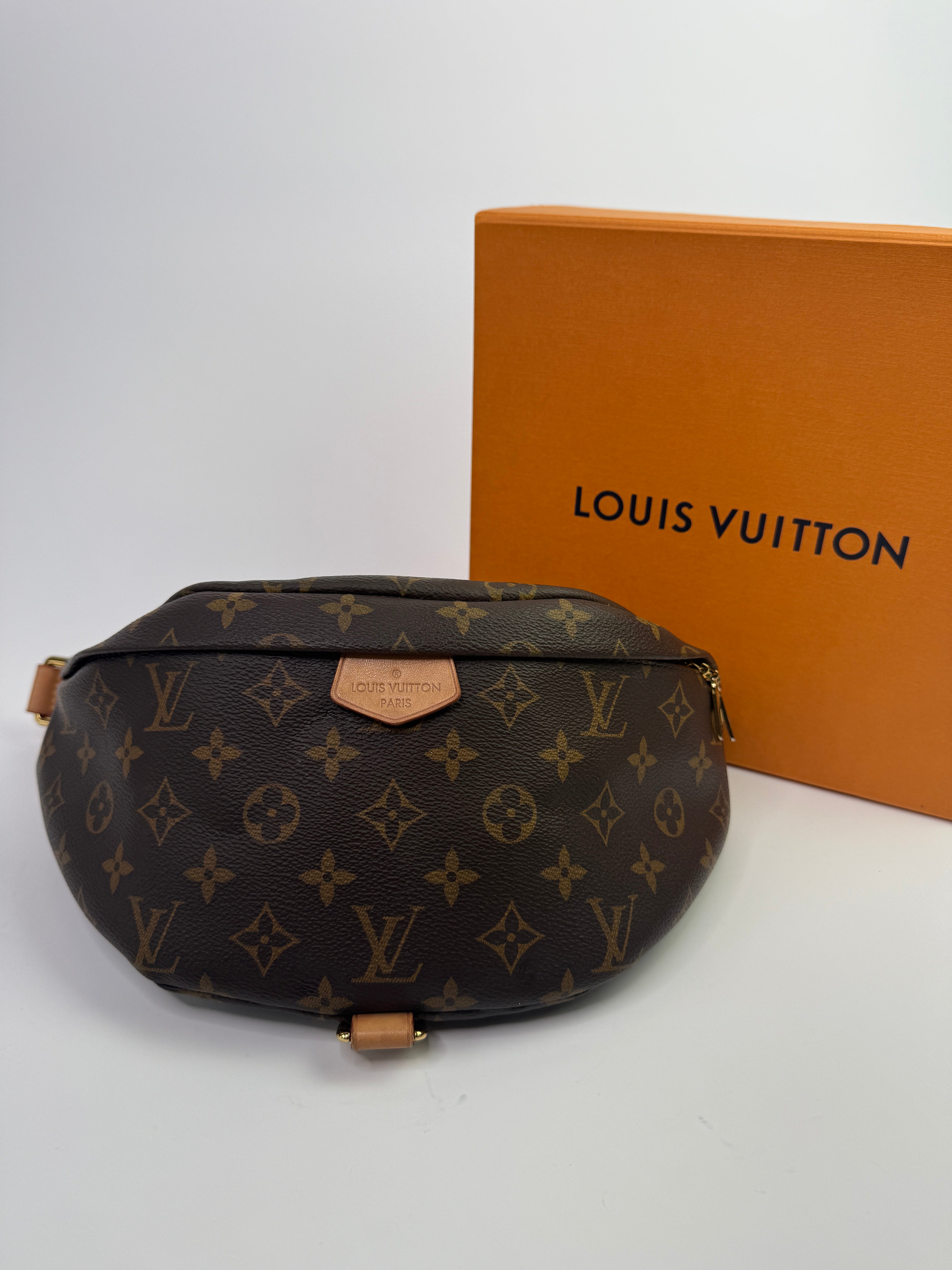 Louis Vuitton Monogram Bumbag
