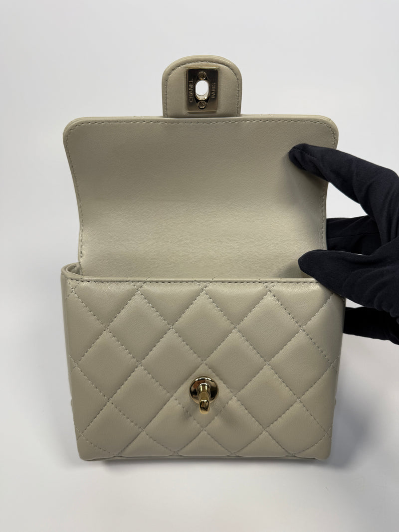 Chanel Seasonal Top Handle Flap Bag