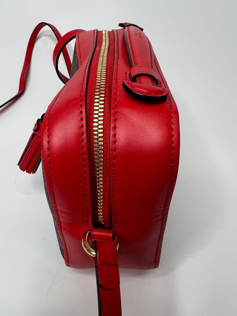 Louis Vuitton Saintonge Bag