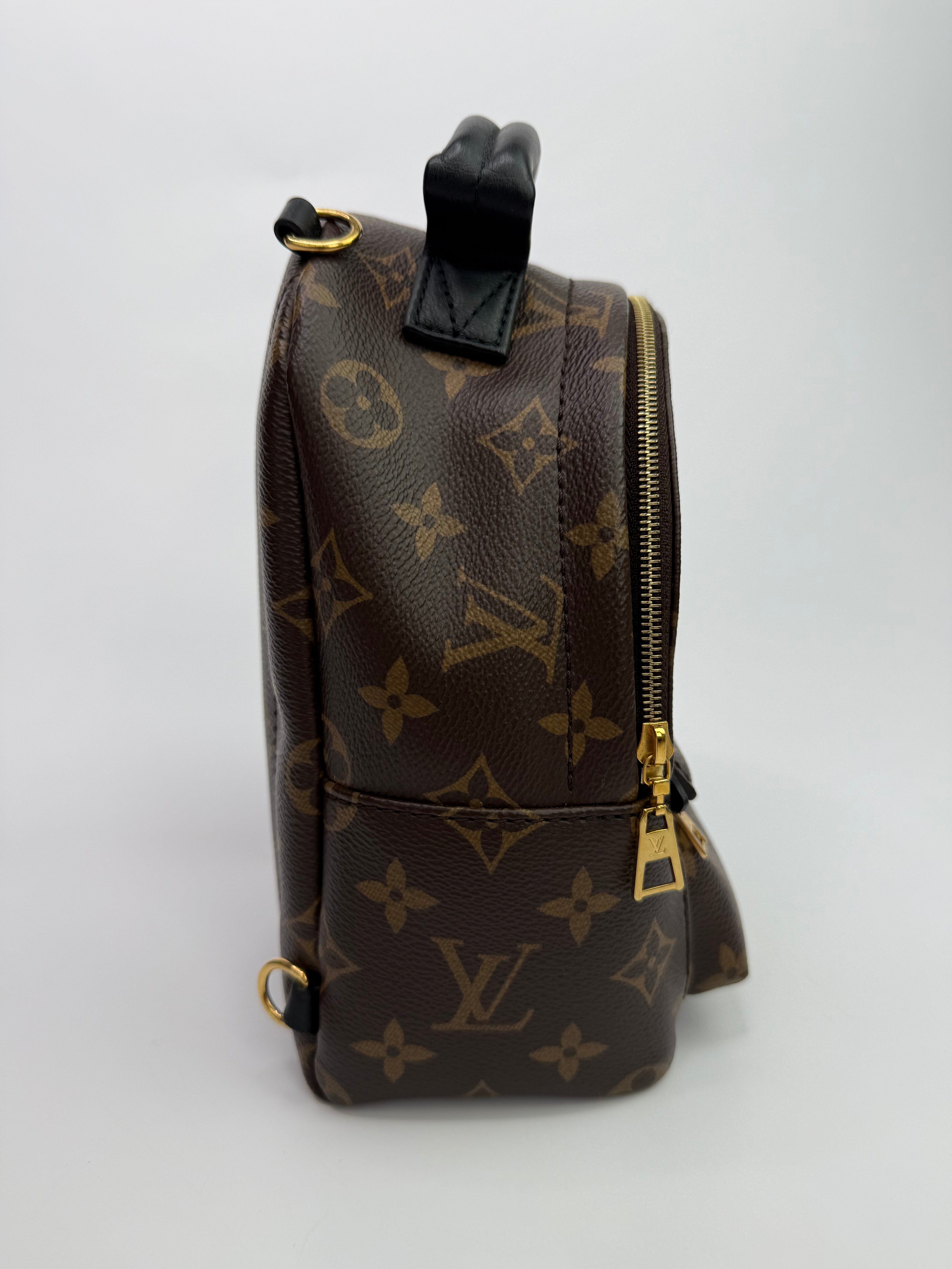 Louis Vuitton Palm Springs Mini Backpack