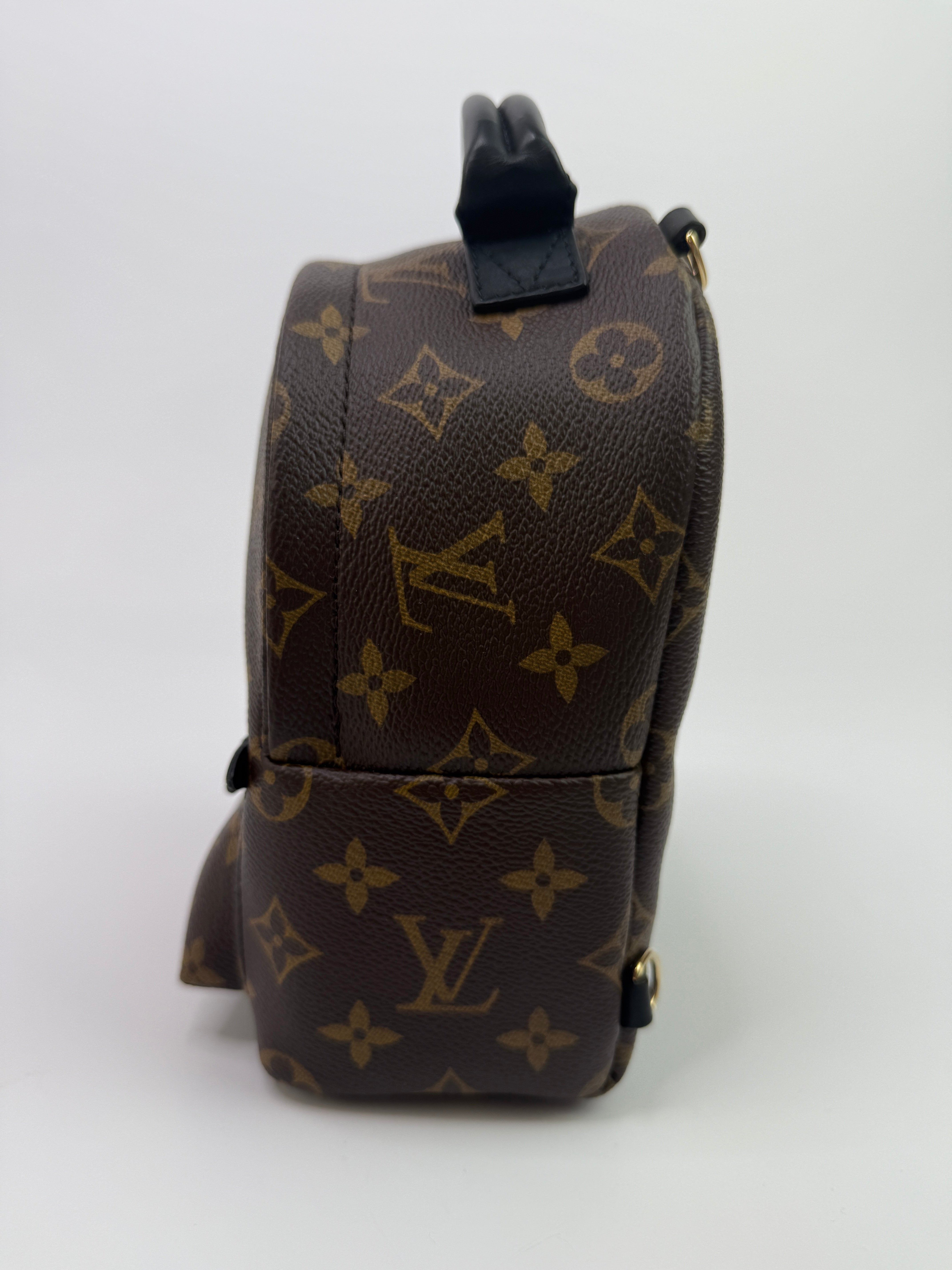 Louis Vuitton Palm Springs Mini Backpack