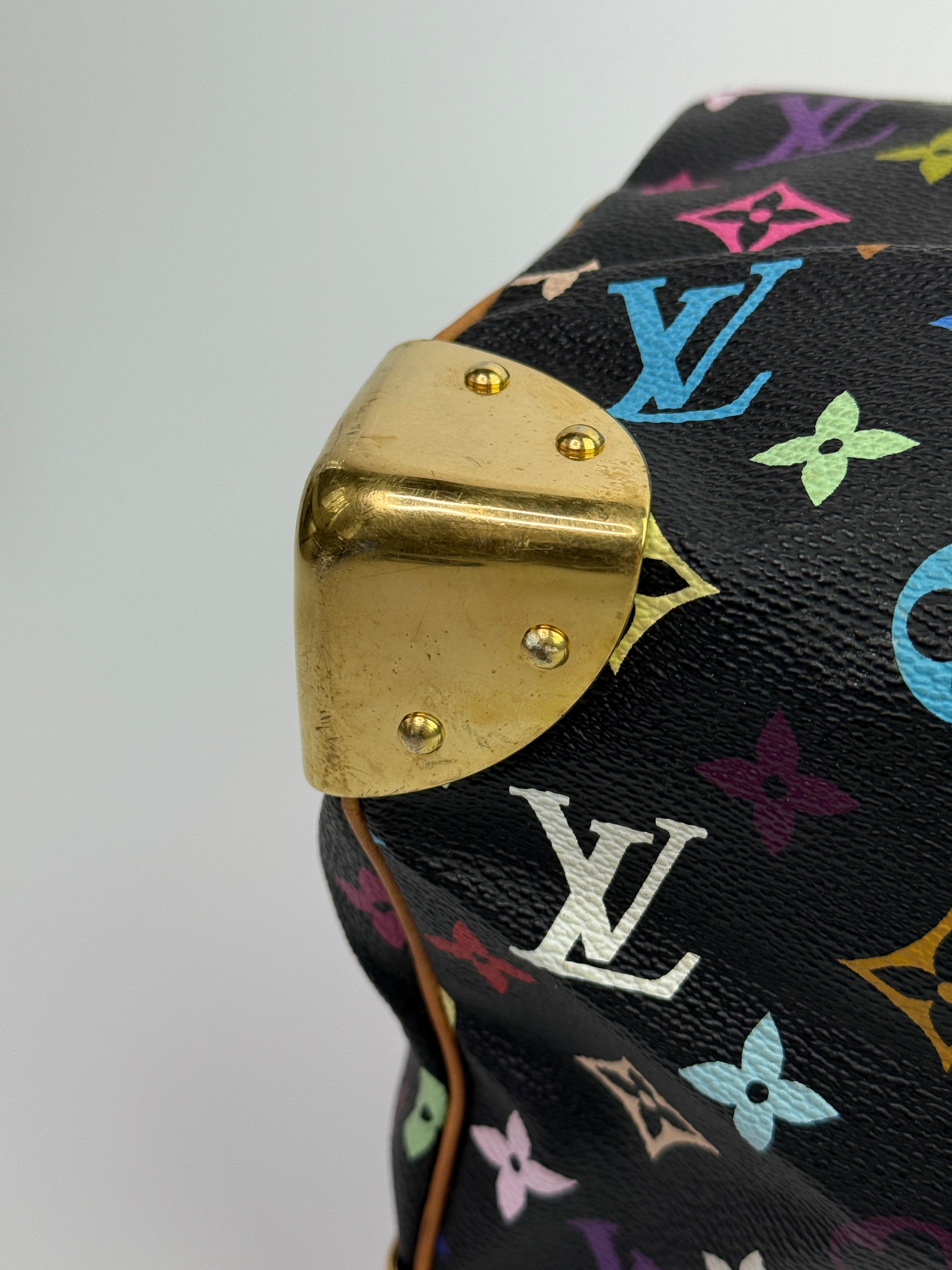 Louis Vuitton Takashi Murakami Speedy 30