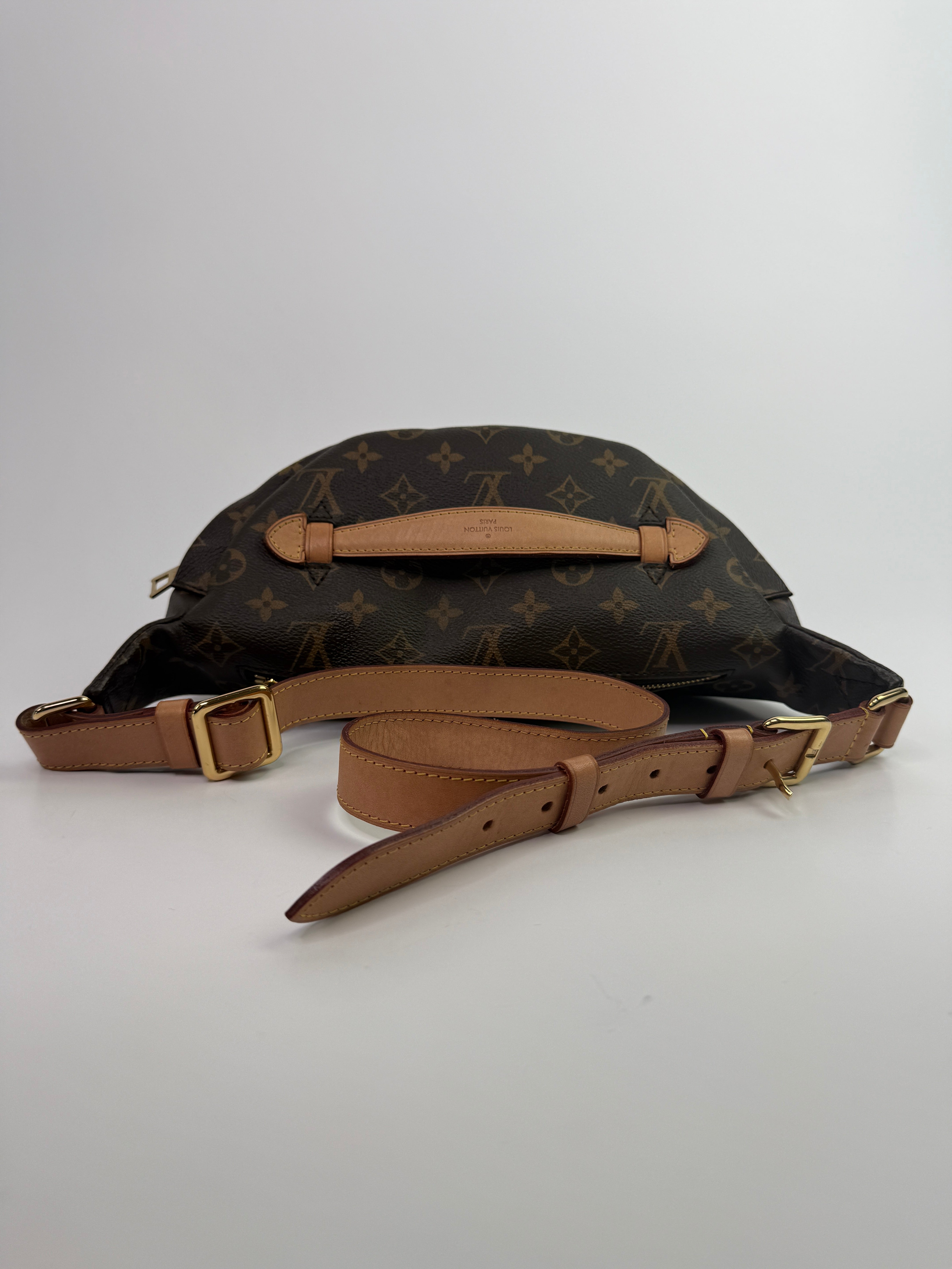 Louis Vuitton Monogram Bumbag