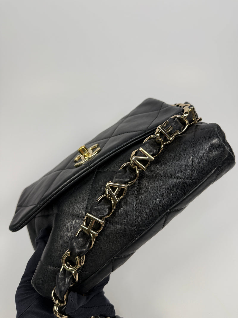 Chanel Black Seasonal Flap Bag