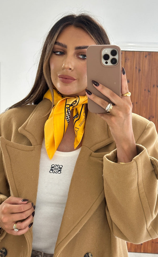 Christian Dior Silk Scarf