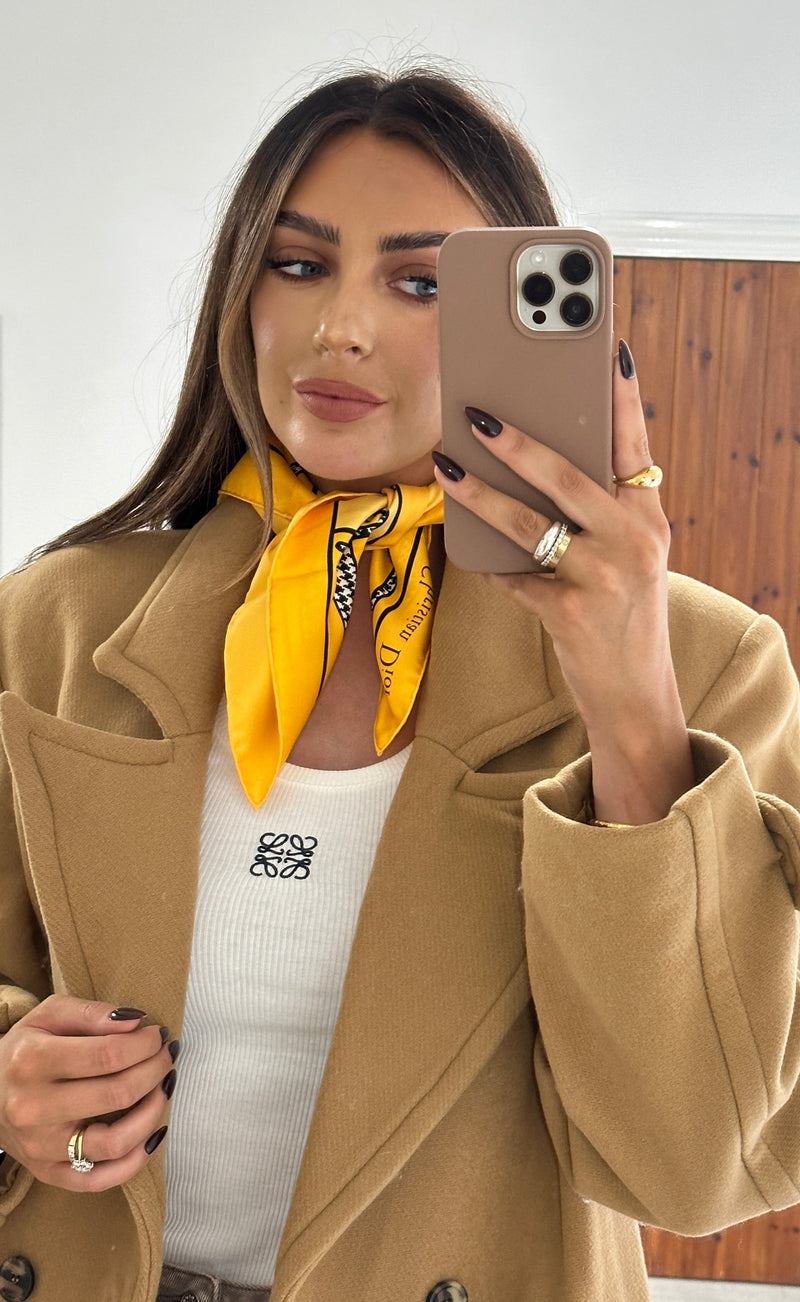 Christian Dior Silk Scarf