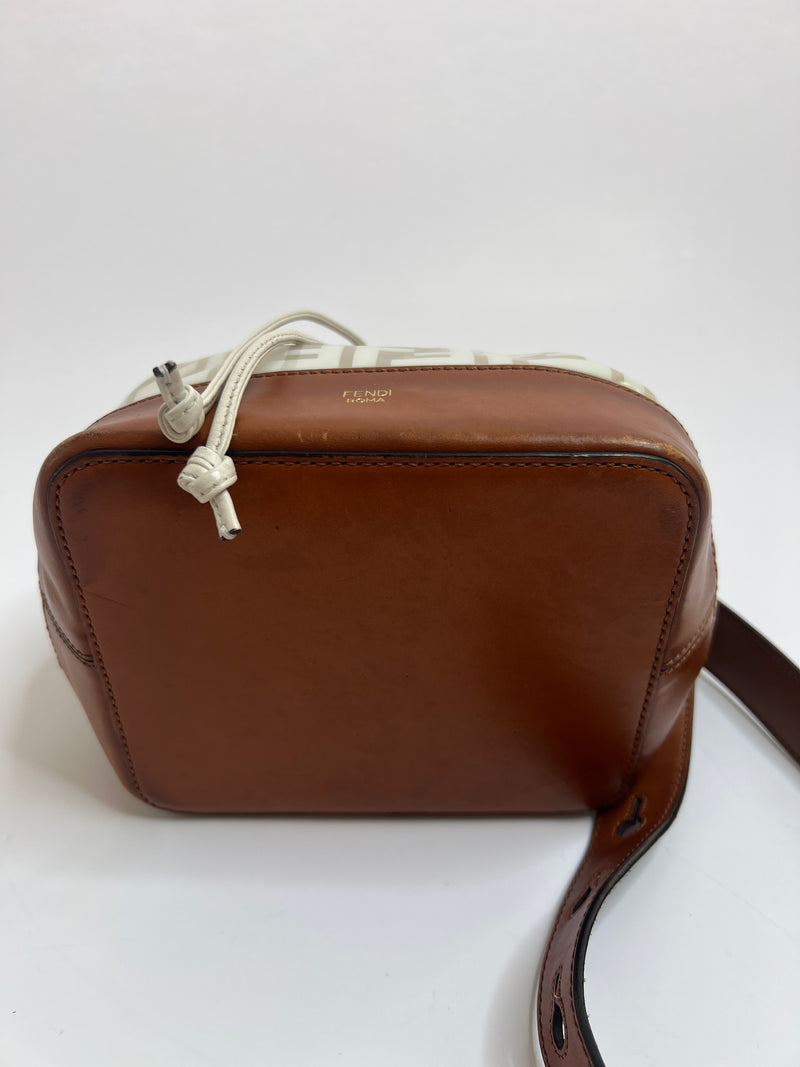 Fendi Mon Tresor Transparent Bucket Bag