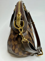 Louis Vuitton Damier Ebene Trevi PM Bag