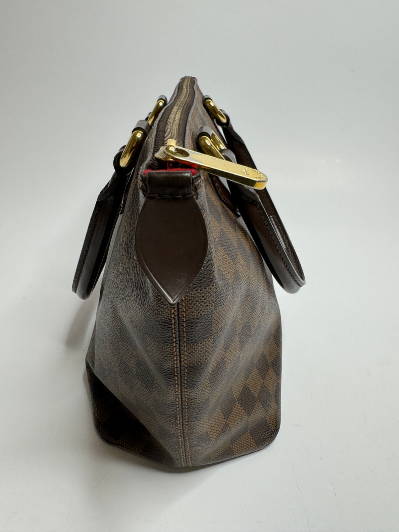 Louis Vuitton Damier Ebene Saleya Bag