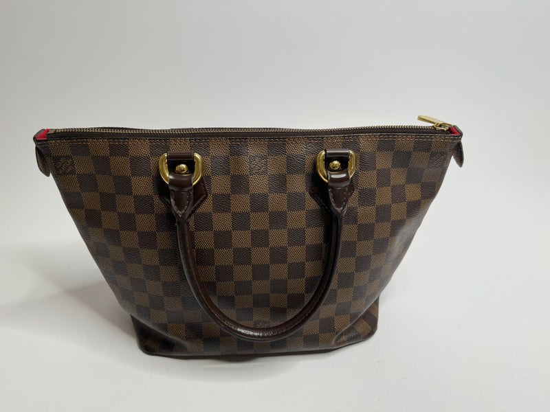 Louis Vuitton Damier Ebene Saleya Bag