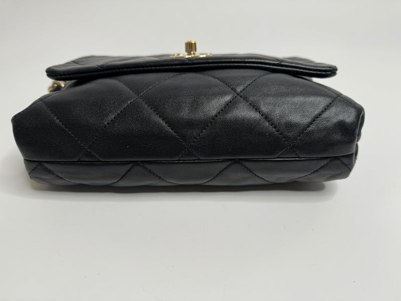 Chanel Black Seasonal Flap Bag
