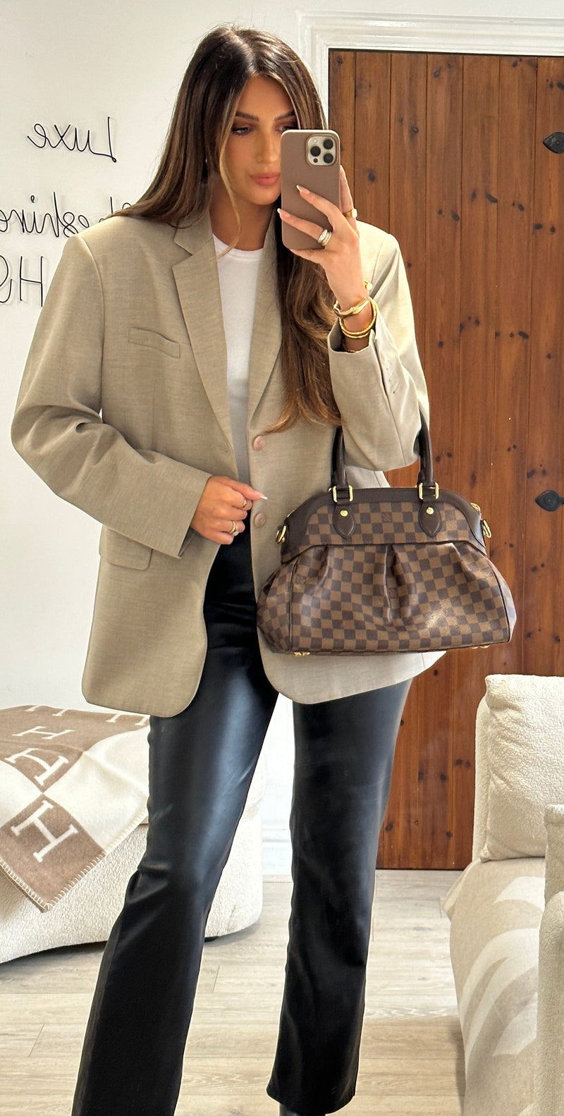 Louis Vuitton Damier Ebene Trevi PM Bag