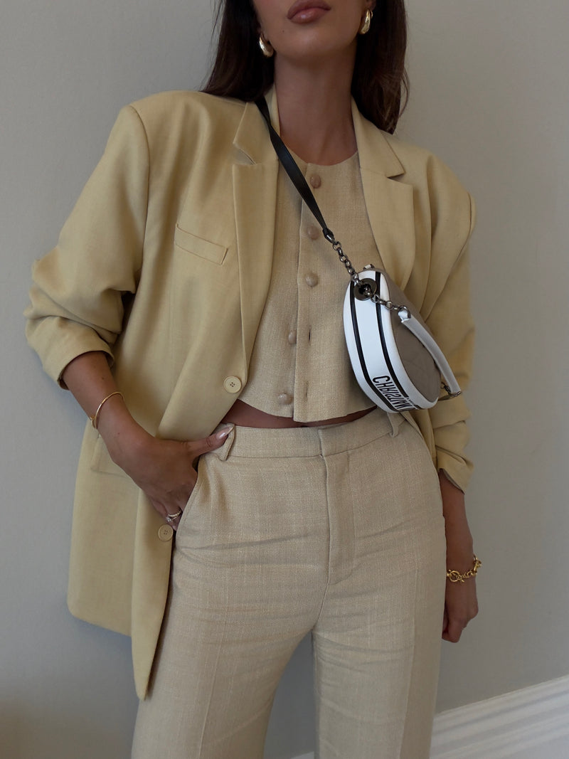 Christian Dior Vibe Hobo Bag