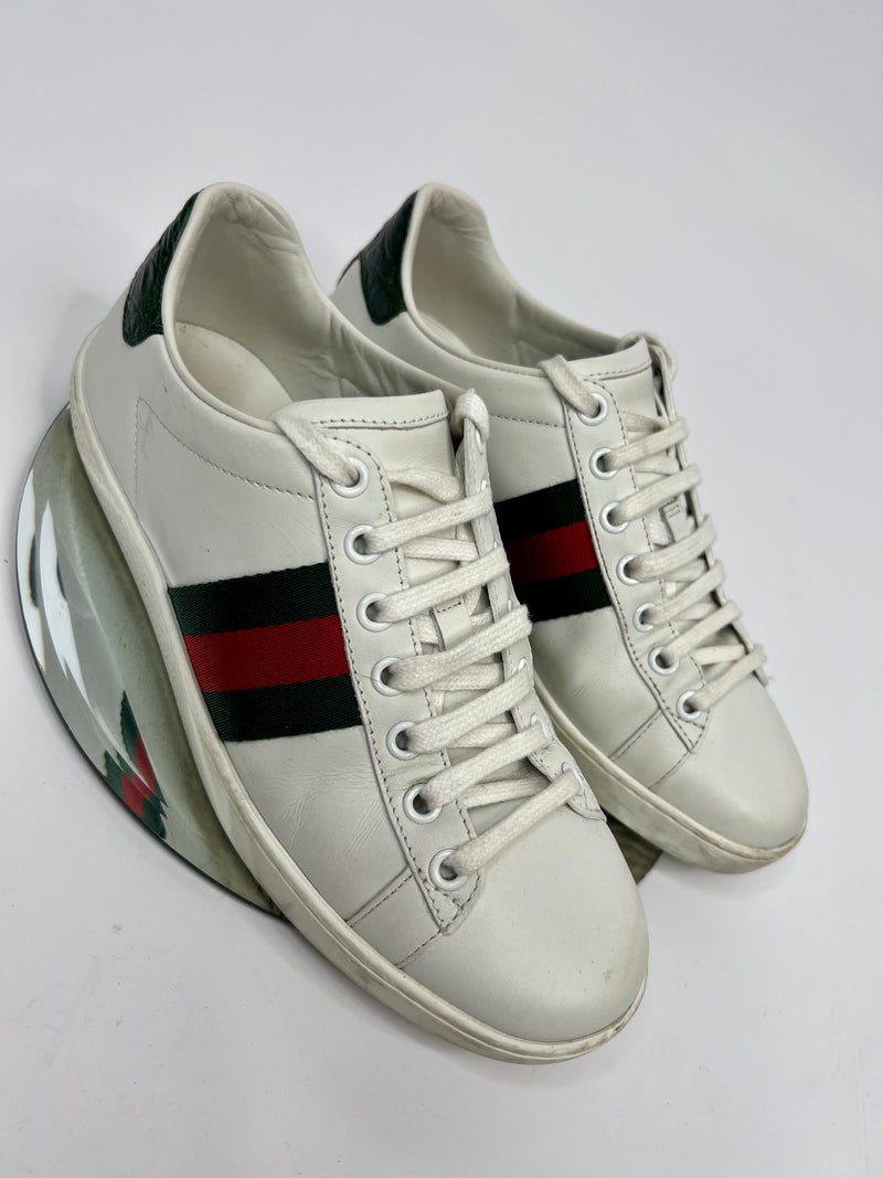 Gucci New Ace Trainers (Size 37 / UK 4 )